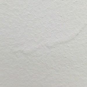 Meet your Posher, Nelson